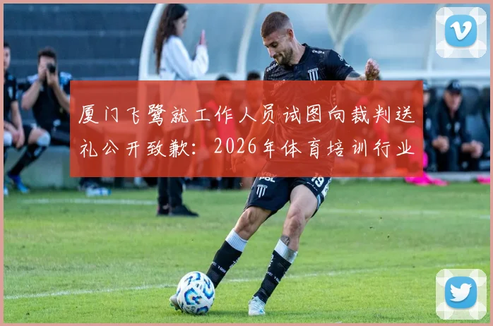 厦门飞鹭就工作人员试图向裁判送礼公开致歉:2026年体育培训行业规范深度观察与监督建议